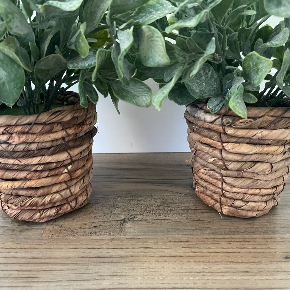 2 Faux Plants - Picture 2 of 5
